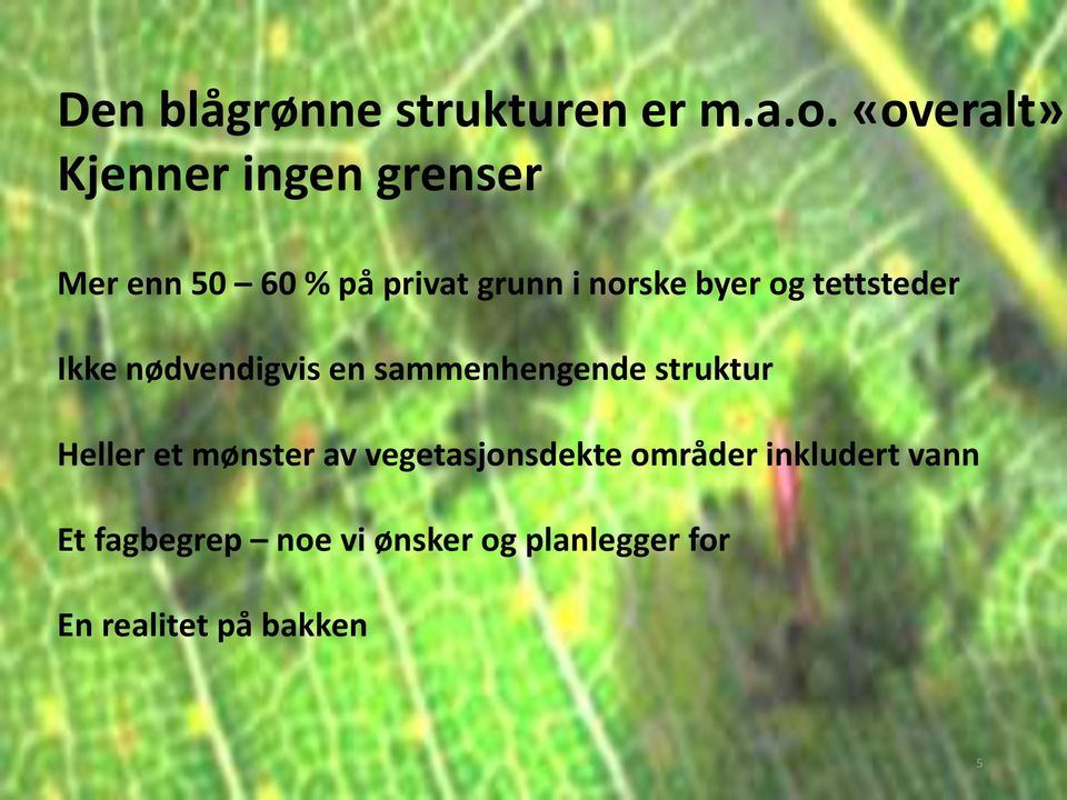 byer og tettsteder Ikke nødvendigvis en sammenhengende struktur Heller et