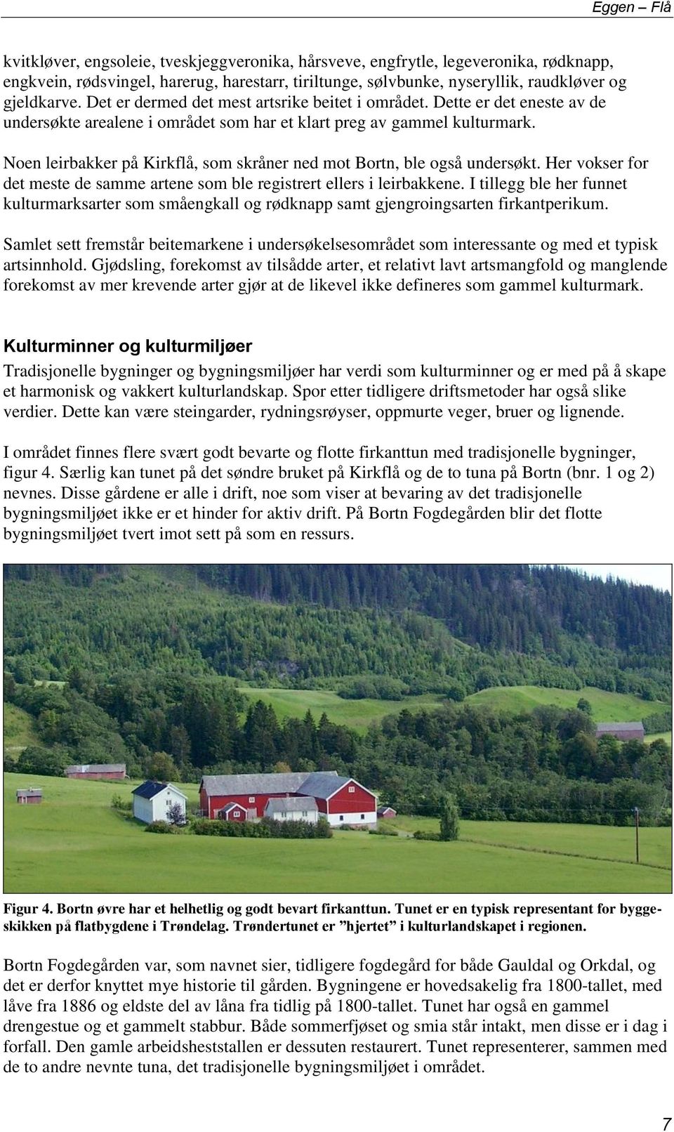 Noen leirbakker på Kirkflå, som skråner ned mot Bortn, ble også undersøkt. Her vokser for det meste de samme artene som ble registrert ellers i leirbakkene.