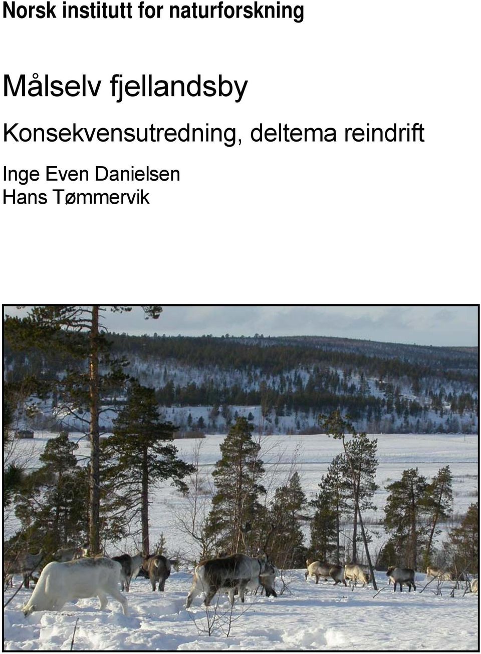 fjellandsby