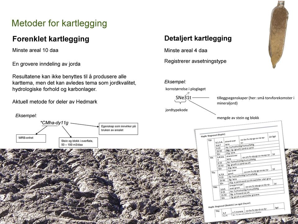 Aktuell metode for deler av Hedmark Eksempel: *CMha-dy11g Egenskap som innvirker på bruken av arealet Eksempel: Heldekkende kartlegging: kornstørrelse i