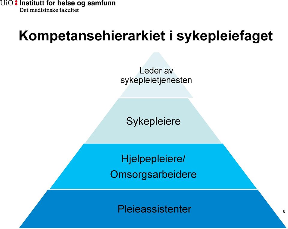 sykepleietjenesten Sykepleiere