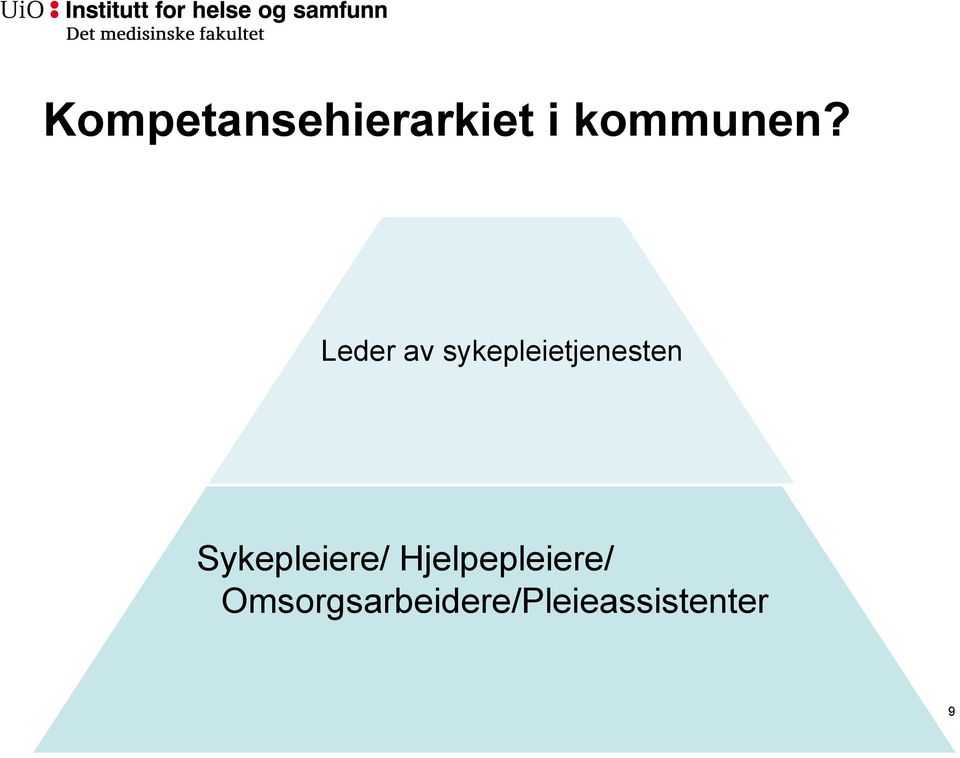 Leder av sykepleietjenesten