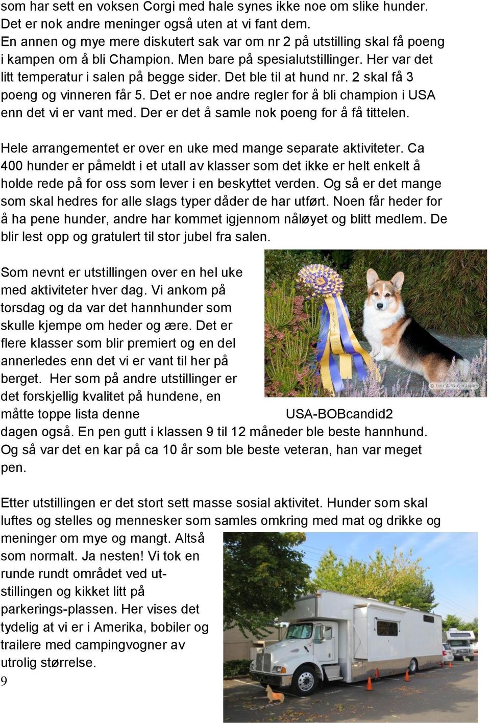 Det ble til at hund nr. 2 skal få 3 poeng og vinneren får 5. Det er noe andre regler for å bli champion i USA enn det vi er vant med. Der er det å samle nok poeng for å få tittelen.