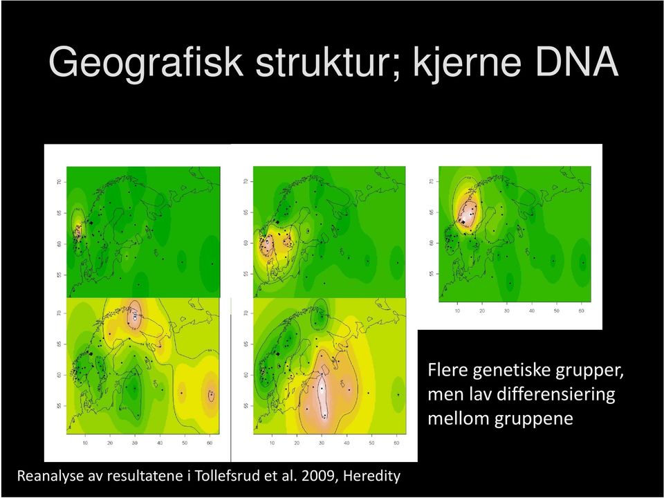 differensiering mellom gruppene