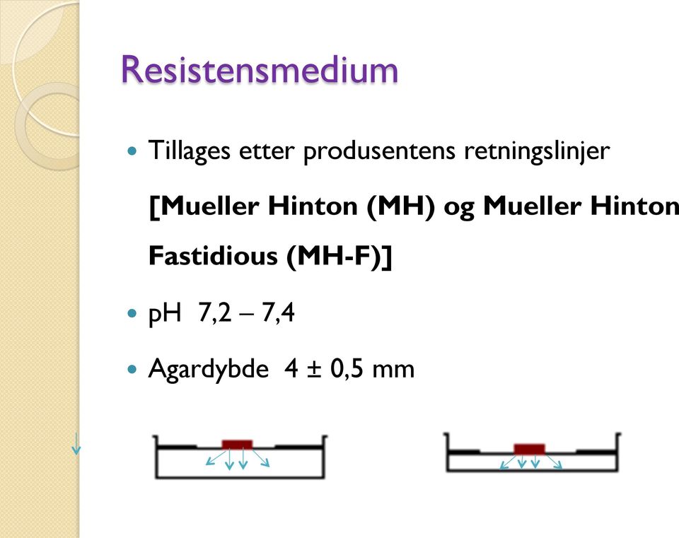 Hinton (MH) og Mueller Hinton