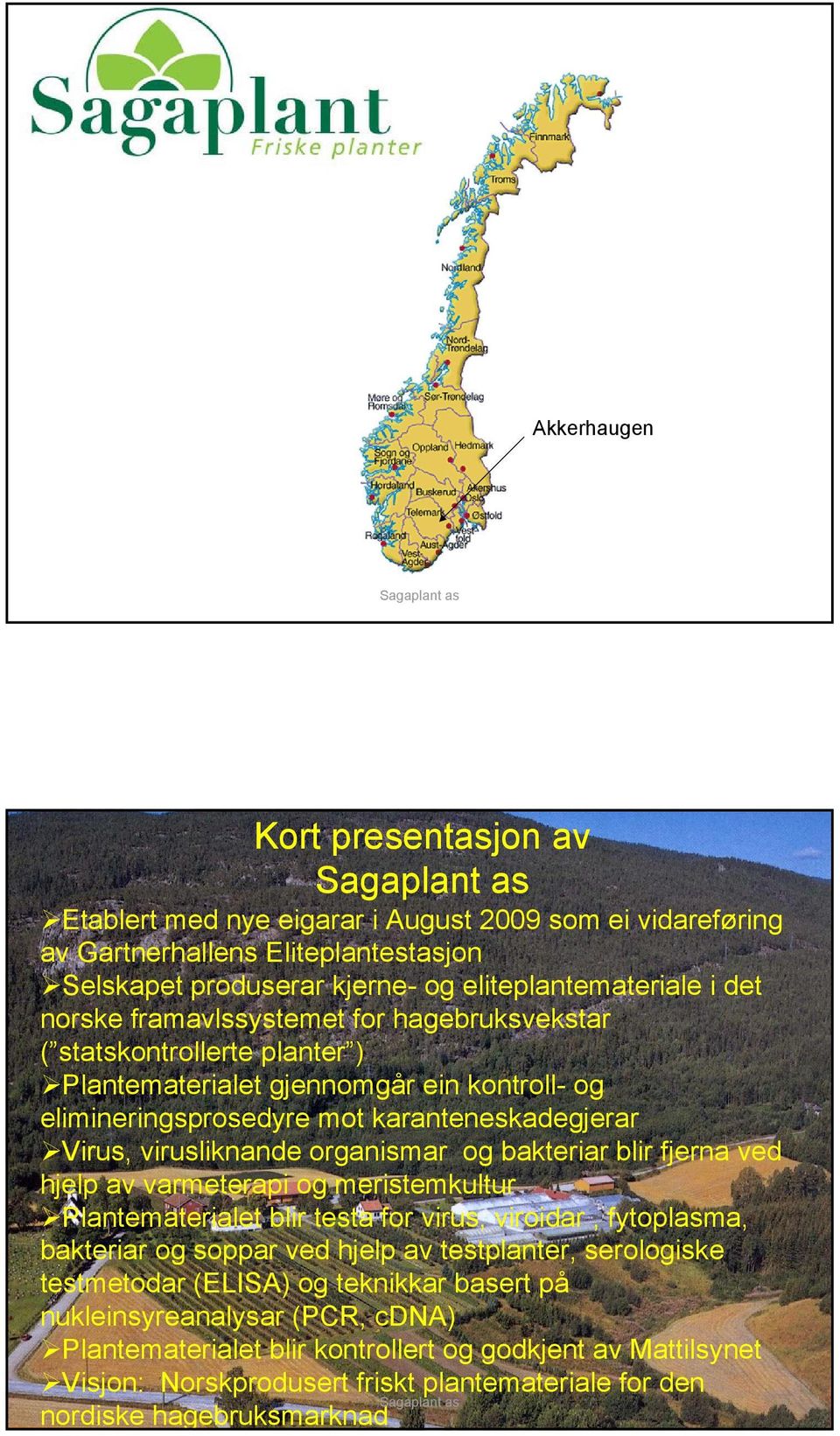 bakteriar blir fjerna ved hjelp av varmeterapi og meristemkultur Plantematerialet blir testa for virus, viroidar, fytoplasma, bakteriar og soppar ved hjelp av testplanter, serologiske testmetodar