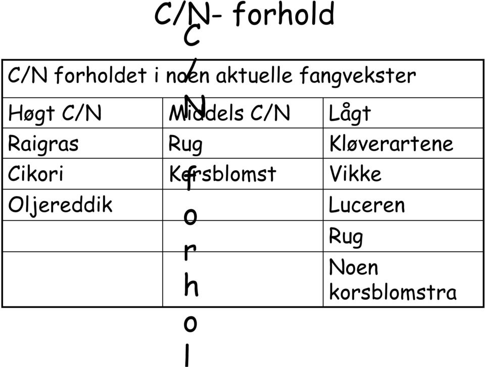 Raigras Rug Kløverartene Cikori Korsblomst f