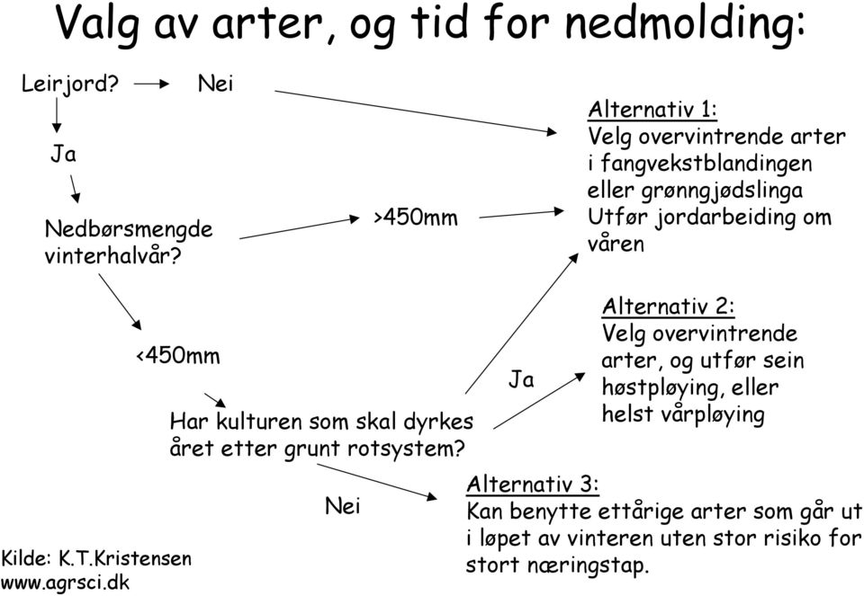 <450mm Kilde: K.T.Kristensen www.agrsci.dk Har kulturen som skal dyrkes året etter grunt rotsystem?