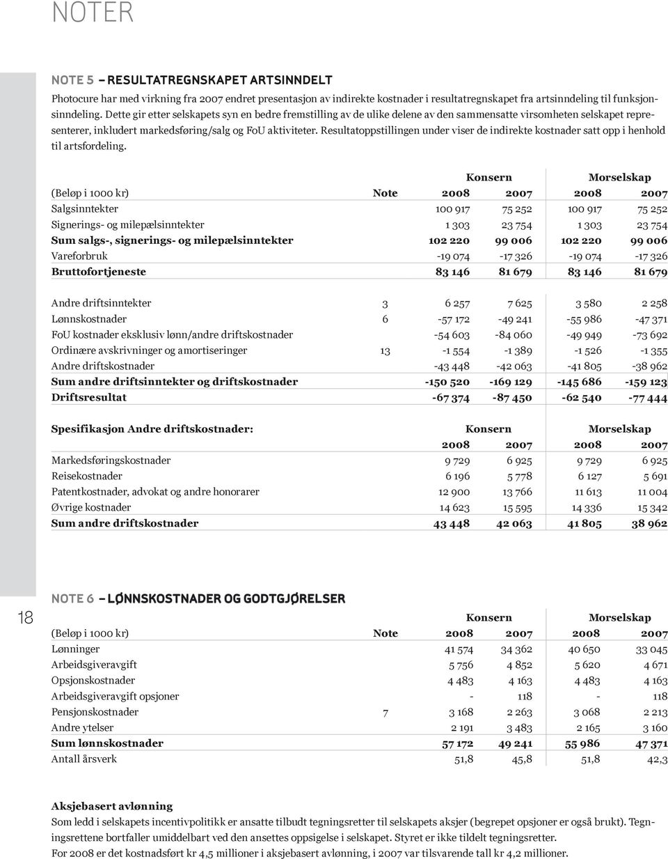 Resultatoppstillingen under viser de indirekte kostnader satt opp i henhold til artsfordeling.