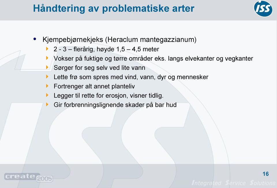 langs elvekanter og vegkanter Sørger for seg selv ved lite vann Lette frø som spres med