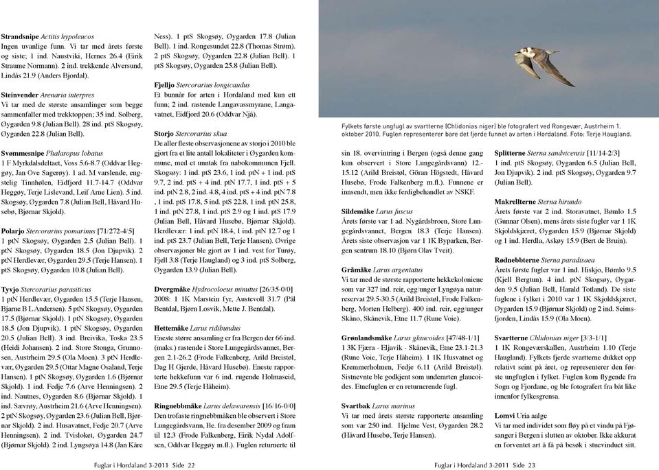 28 ind. pts Skogsøy, Øygarden 22.8 (Julian Bell). Svømmesnipe Phalaropus lobatus 1 F Myrkdalsdeltaet, Voss 5.6-8.7 (Oddvar Heggøy, Jan Ove Sagerøy). 1 ad.