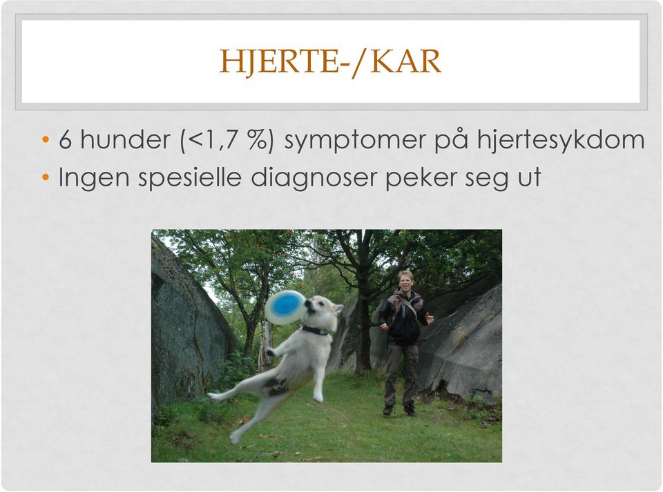 hjertesykdom Ingen