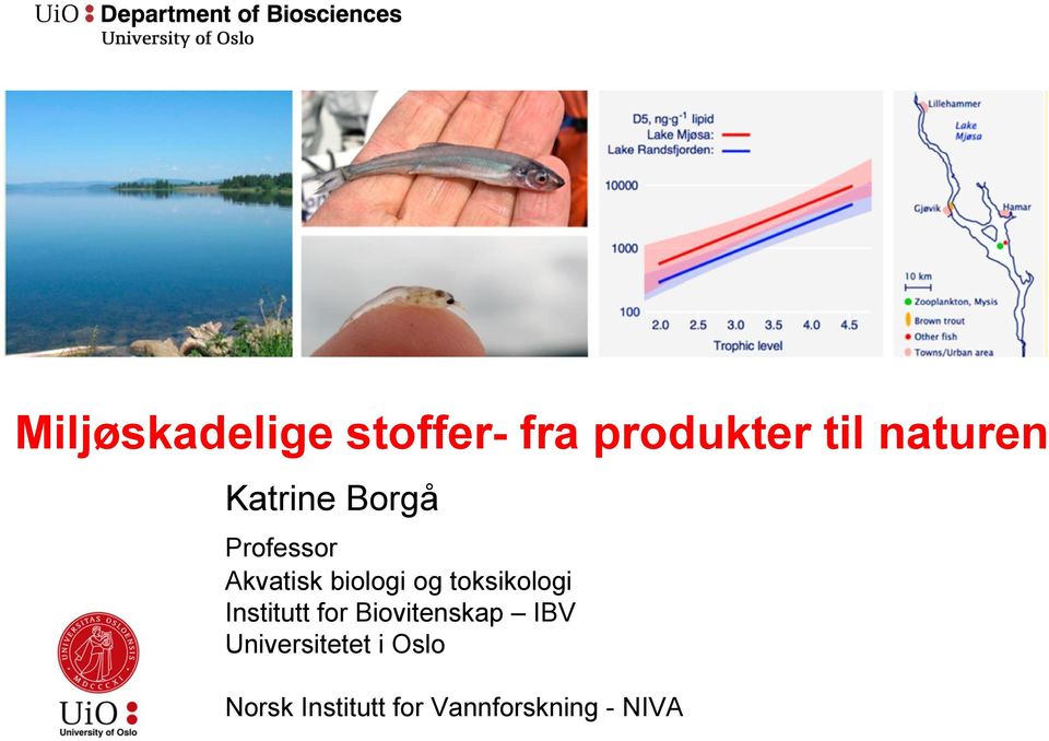 toksikologi Institutt for Biovitenskap IBV