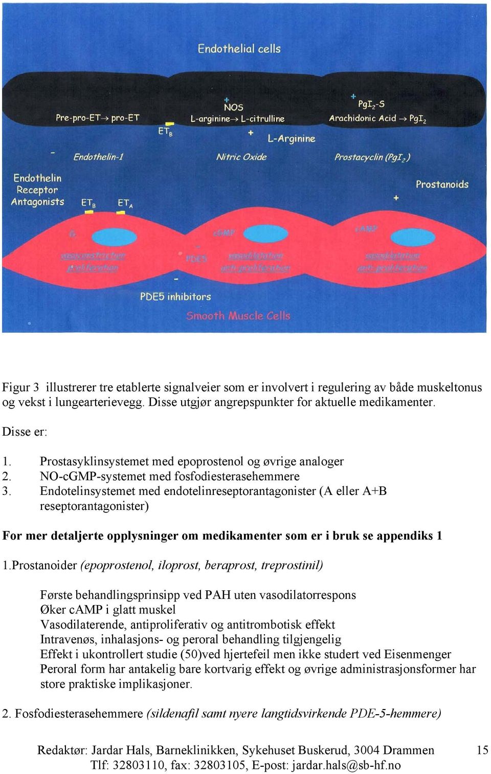 Endotelinsystemet med endotelinreseptorantagonister (A eller A+B reseptorantagonister) For mer detaljerte opplysninger om medikamenter som er i bruk se appendiks 1 1.