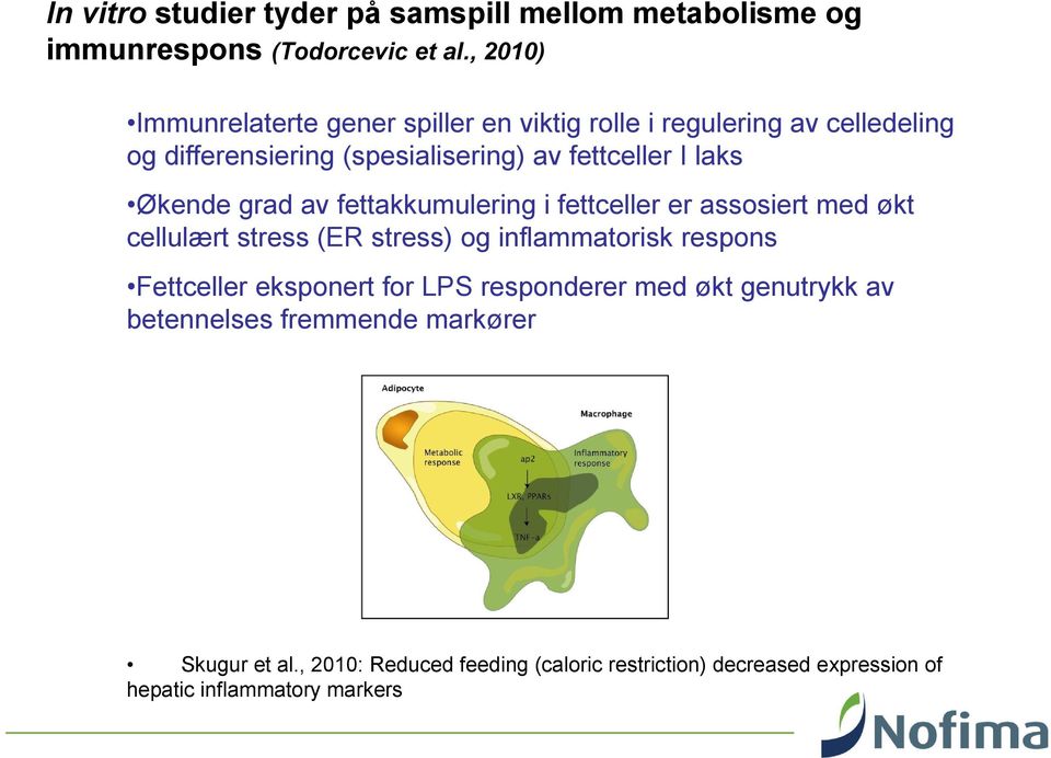 Økende grad av fettakkumulering i fettceller er assosiert med økt cellulært stress (ER stress) og inflammatorisk respons Fettceller
