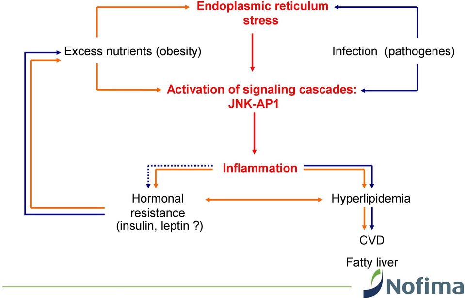 signaling cascades: JNK-AP1 Inflammation Hormonal