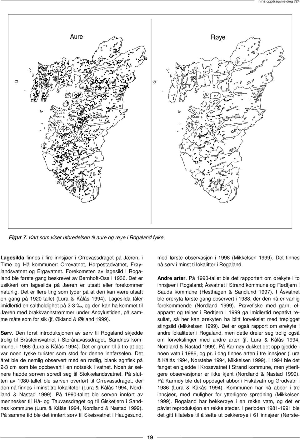 Forekomsten av lagesild i Rogaland ble første gang beskrevet av Bernhoft-Osa i 1936. Det er usikkert om lagesilda på Jæren er utsatt eller forekommer naturlig.