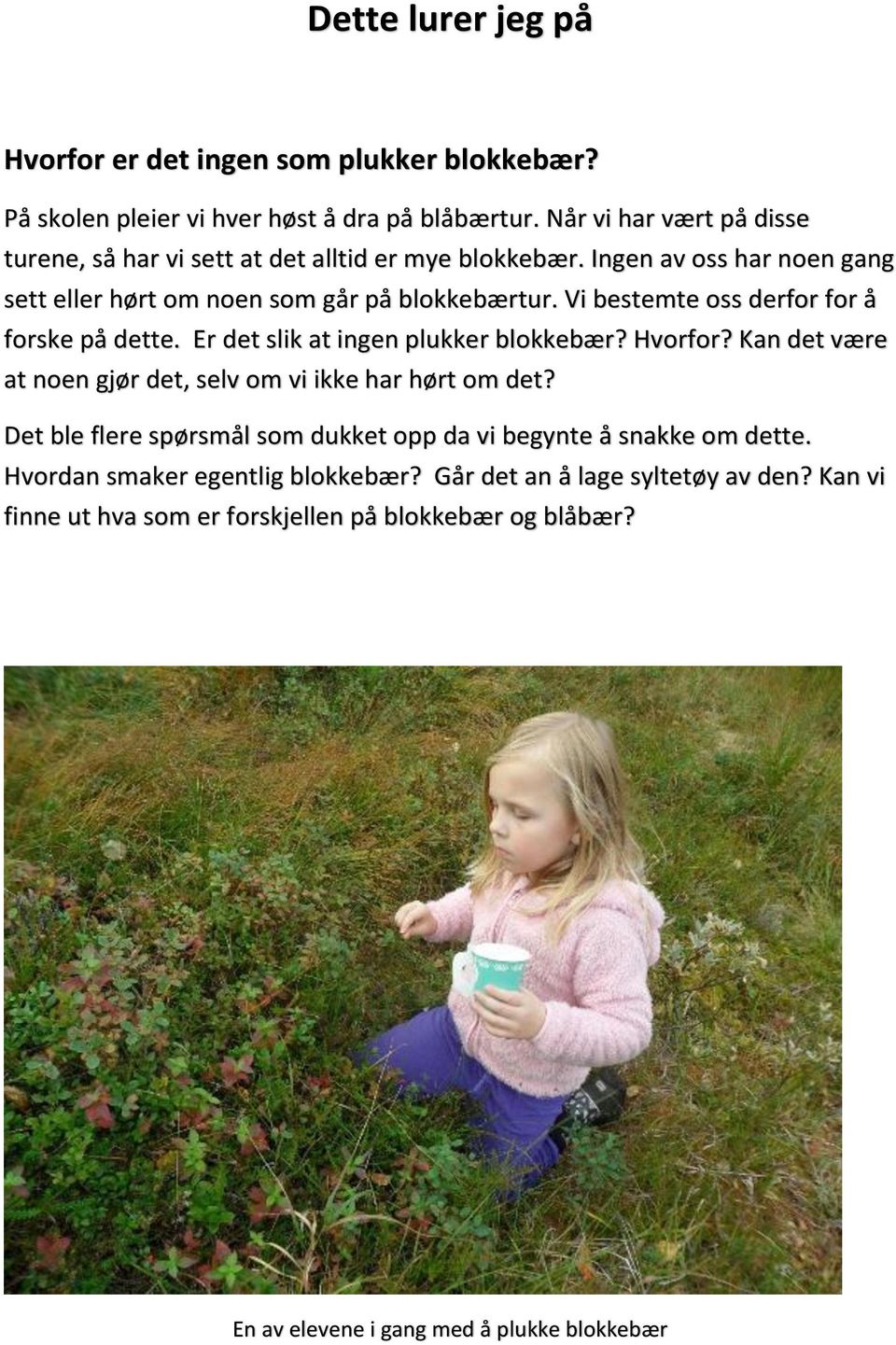 Vi bestemte oss derfor for å forske på dette. Er det slik at ingen plukker blokkebær? Hvorfor? Kan det være at noen gjør det, selv om vi ikke har hørt om det?