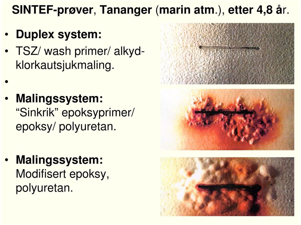 alkydklorkautsjukmaling.