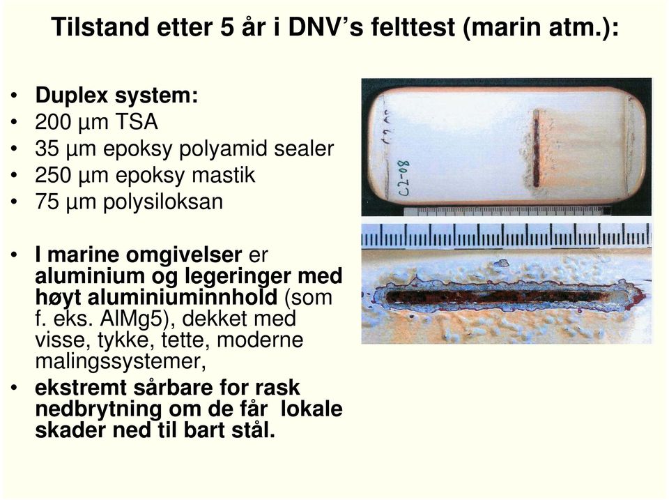 polysiloksan I marine omgivelser er aluminium og legeringer med høyt aluminiuminnhold (som f.