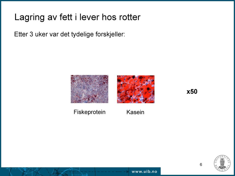 var det tydelige