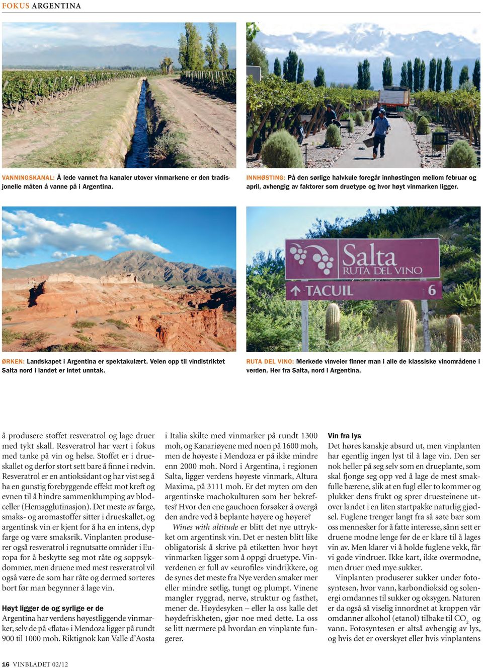 Veien opp til vindistriktet Salta nord i landet er intet unntak. Ruta del Vino: Merkede vinveier finner man i alle de klassiske vinområdene i verden. Her fra Salta, nord i Argentina.