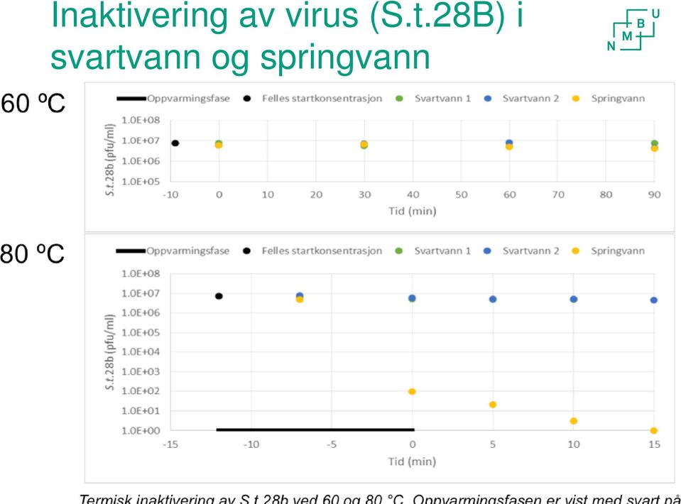 28B) i svartvann og springvann