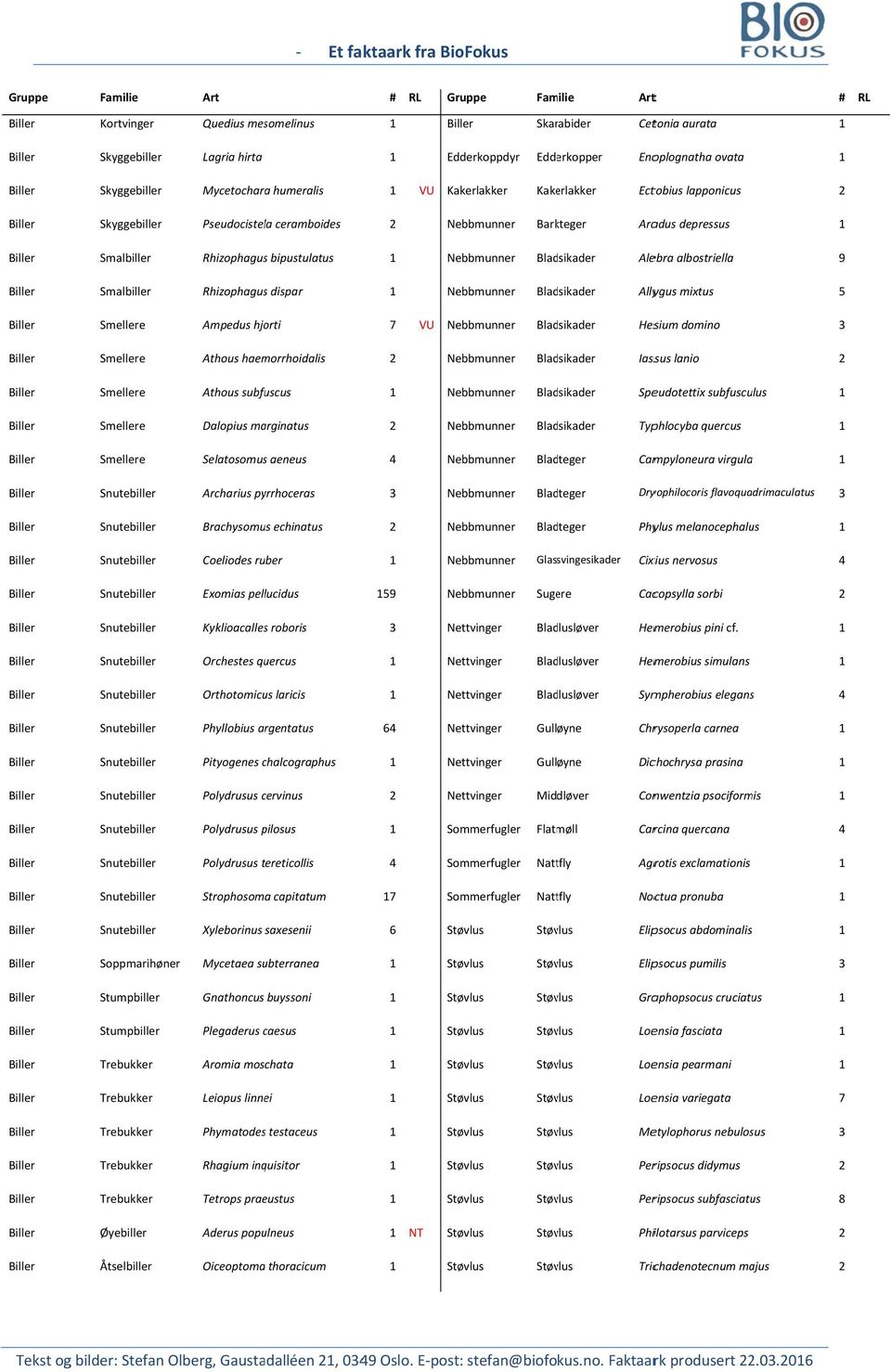 Smalbiller Rhizophaguss dispar Nebbmunner Bladsikader Allygus mixtus 5 Ampedus hjorti 7 VU Nebbmunner Bladsikader Hesium domino Athous haemorrhoidalis Nebbmunner Bladsikader Iassus lanio Athous