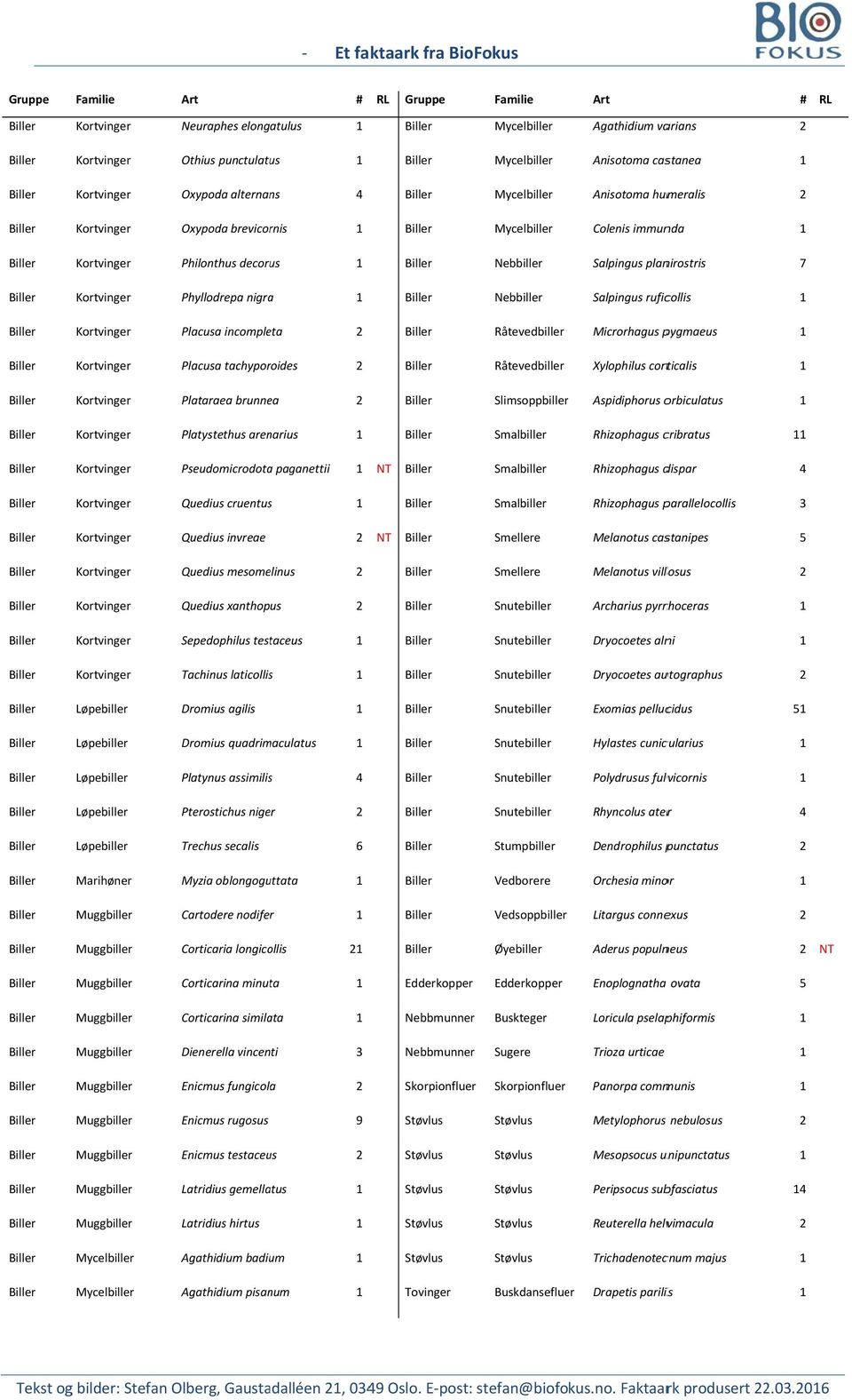 tachyporoides Råtevedbiller Xylophilus corticalis Plataraea brunnea Slimsoppbiller Aspidiphorus orbiculatus Platystethus arenarius Smalbiller Rhizophagus cribratus Pseudomicrodotaa paganettii NT