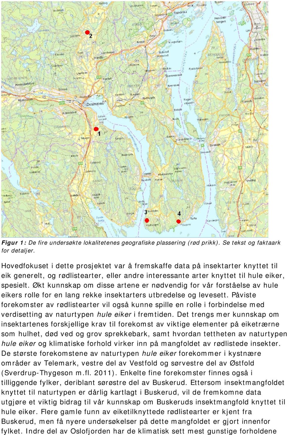 Økt kunnskap om disse artene er nødvendig for vår forståelse av hule eikers rolle for en lang rekke insektarters utbredelse og levesett.