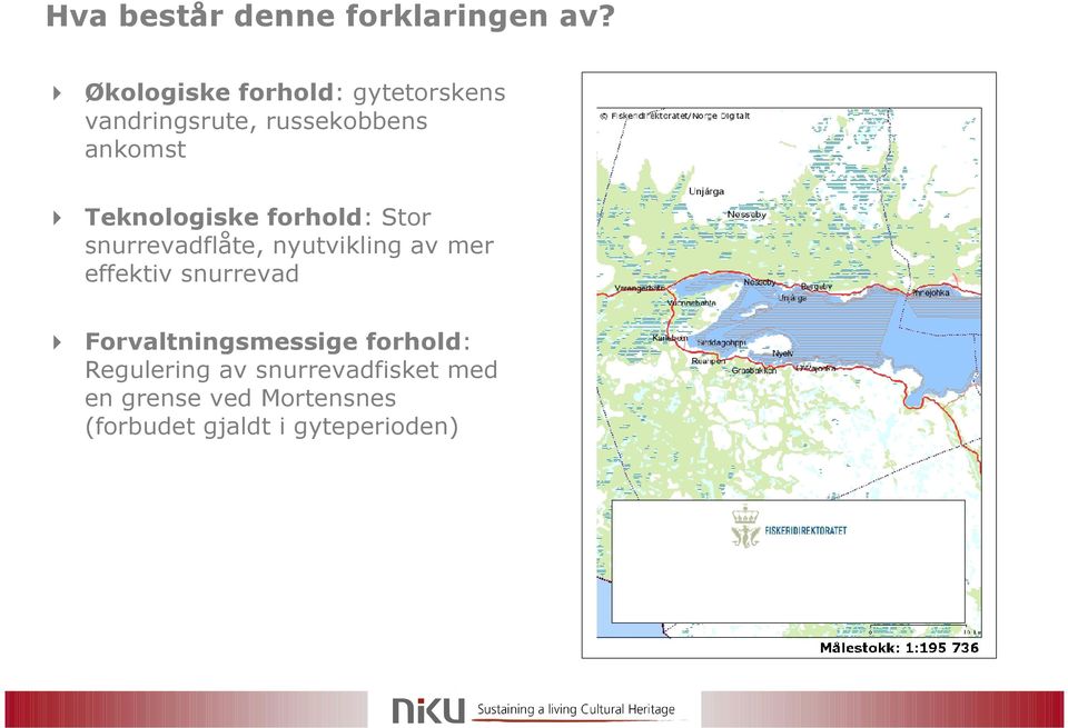 Teknologiske forhold: Stor snurrevadflåte, nyutvikling av mer effektiv