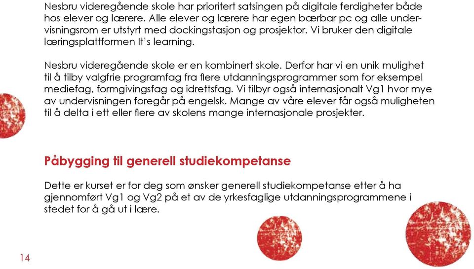 Nesbru videregående skole er en kombinert skole. Derfor har vi en unik mulighet til å tilby valgfrie programfag fra flere utdanningsprogrammer som for eksempel mediefag, formgivingsfag og idrettsfag.