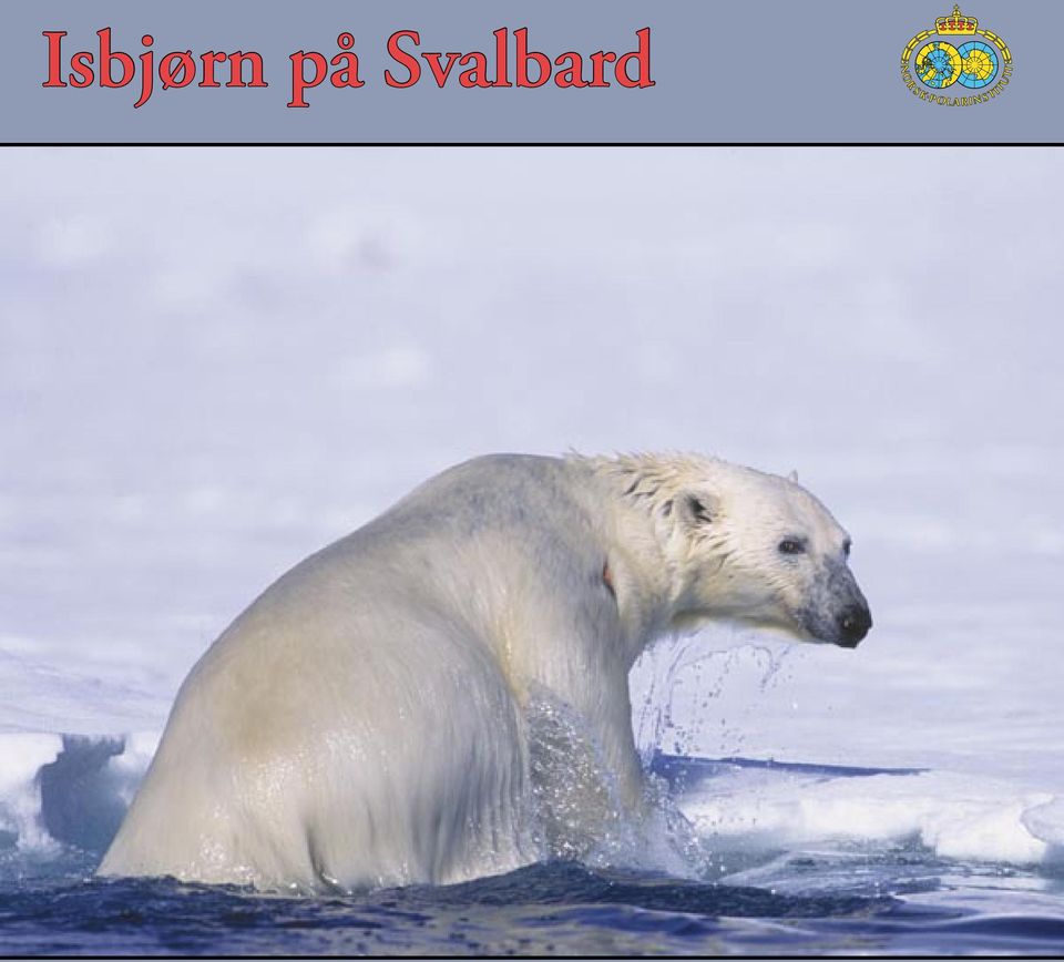 Svalbard