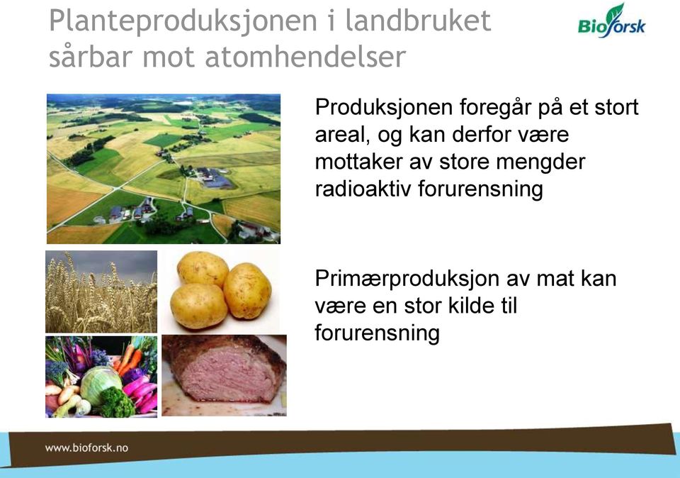 være mottaker av store mengder radioaktiv forurensning