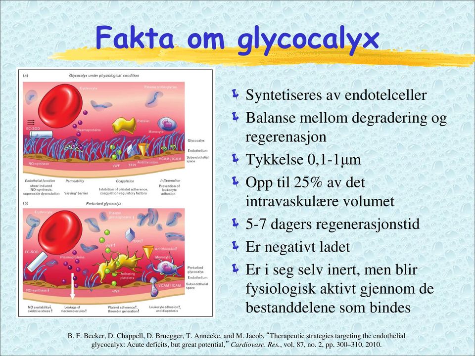 gjennom de bestanddelene som bindes B. F. Becker, D. Chappell, D. Bruegger, T. Annecke, and M.