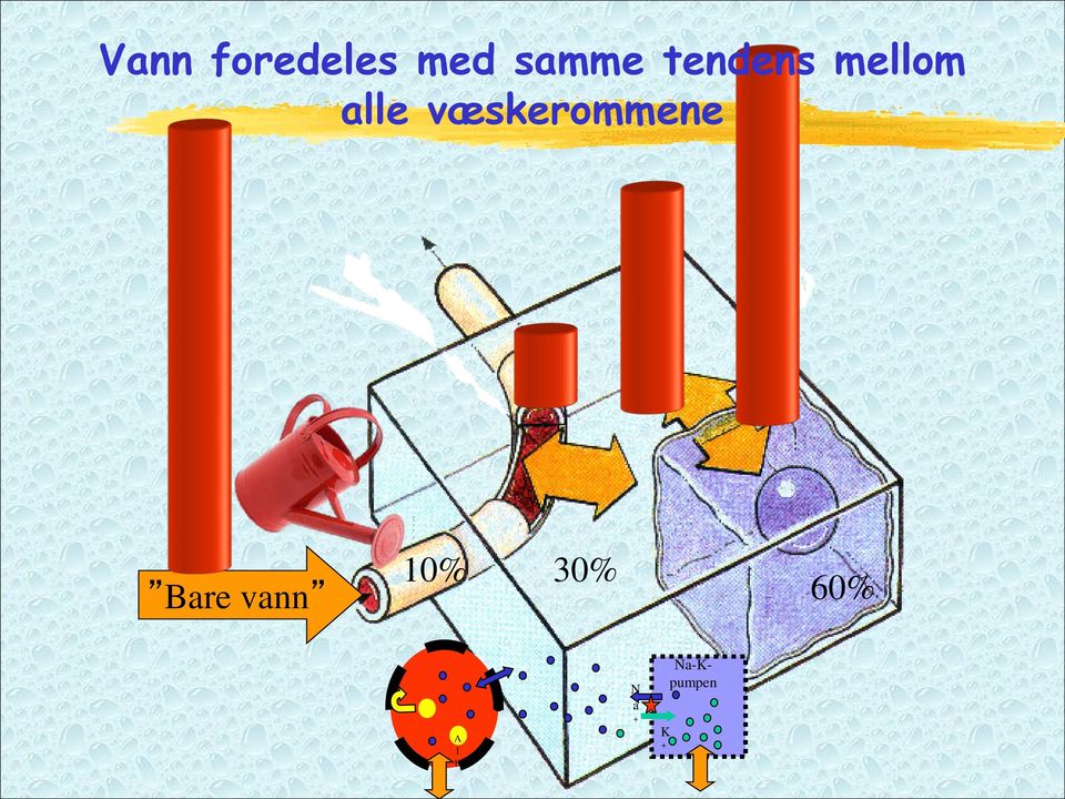 væskerommene 10% 30% Bare