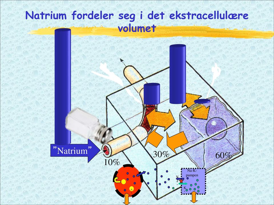 volumet Natrium 30% 10%