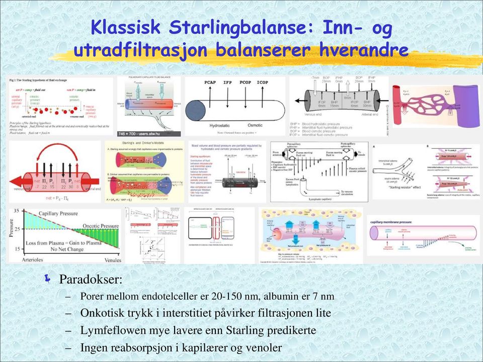 Onkotisk trykk i interstitiet påvirker filtrasjonen lite Lymfeflowen