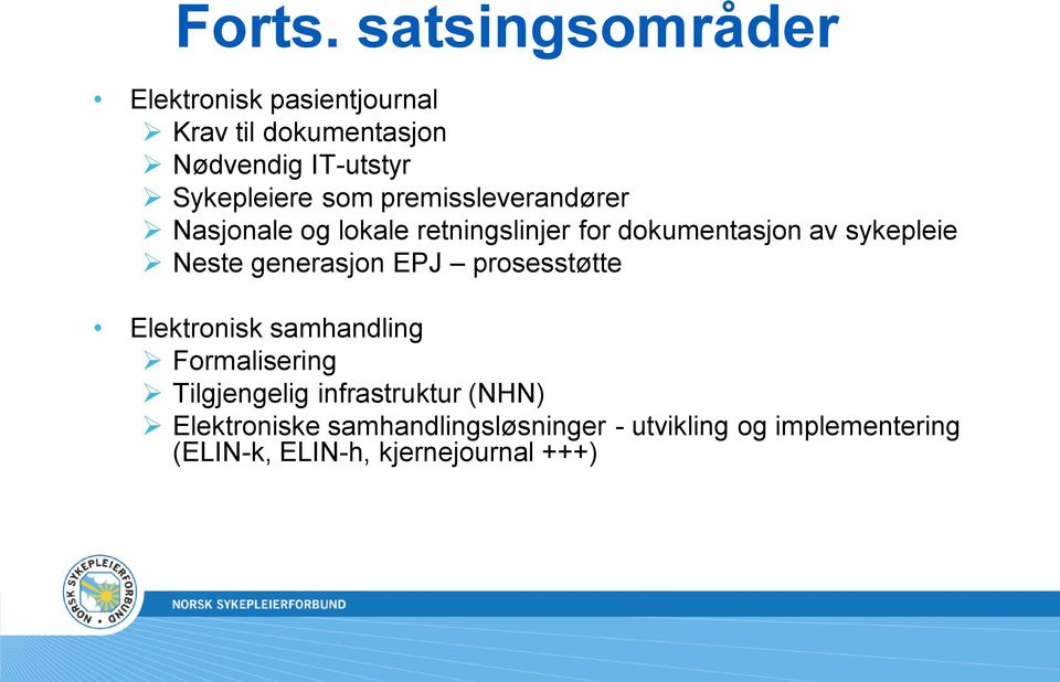 som premissleverandører Nasjonale og lokale retningslinjer for dokumentasjon av sykepleie Neste