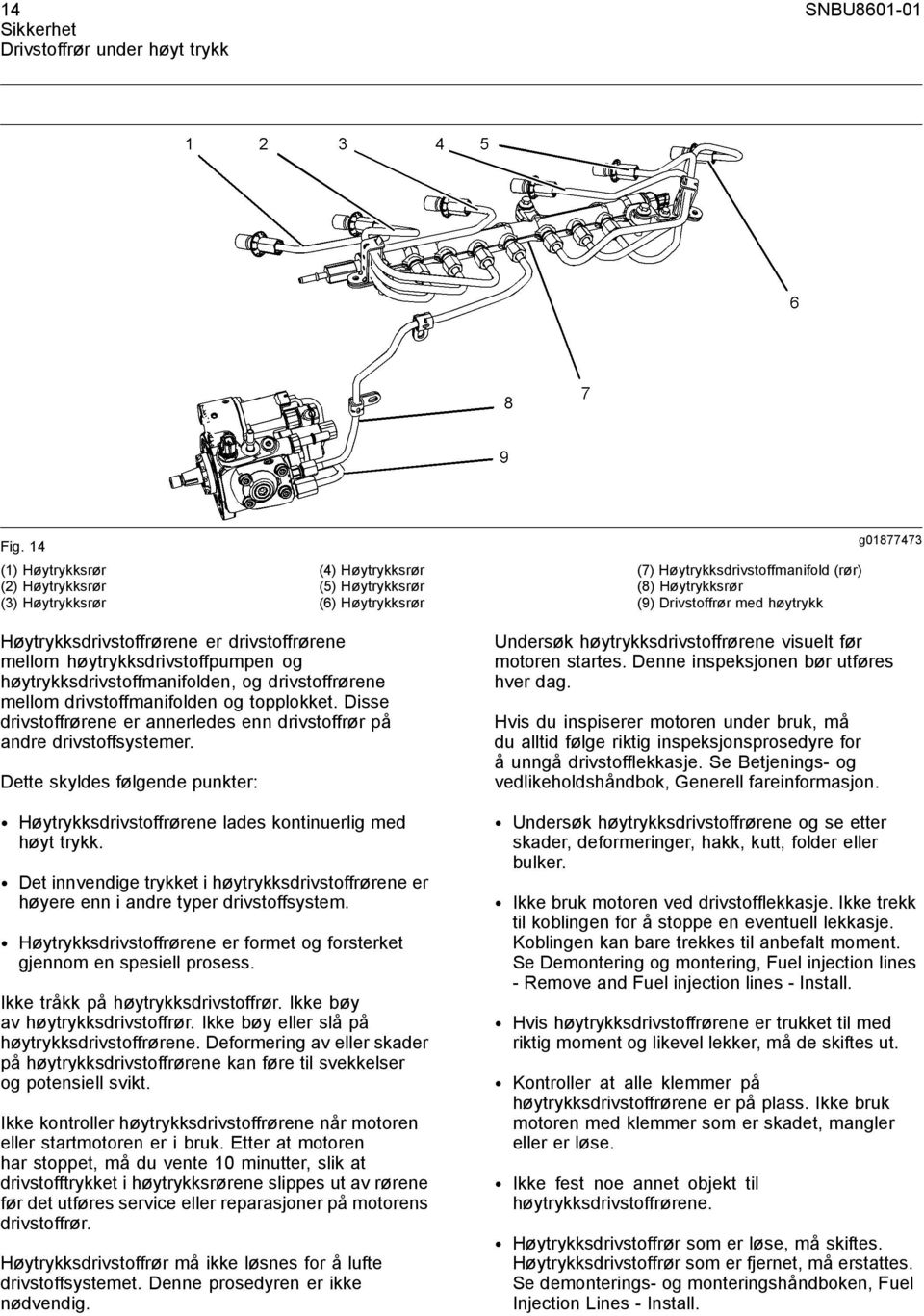 Høytrykksdrivstoffrørene er drivstoffrørene mellom høytrykksdrivstoffpumpen og høytrykksdrivstoffmanifolden, og drivstoffrørene mellom drivstoffmanifolden og topplokket.