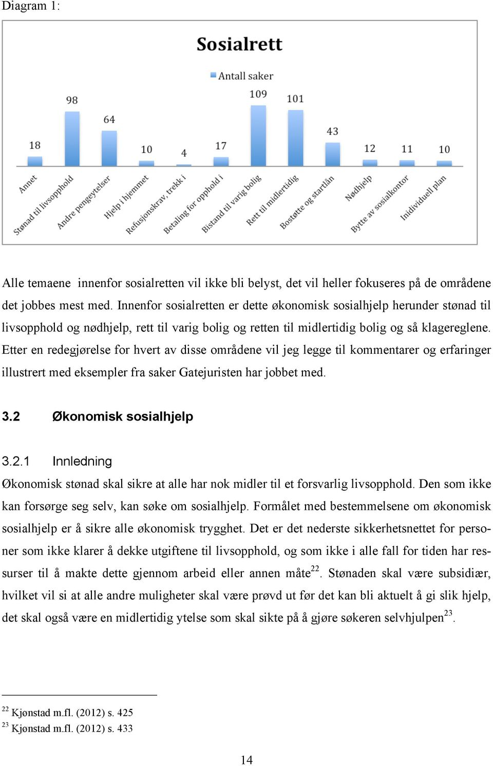 Etter en redegjørelse for hvert av disse områdene vil jeg legge til kommentarer og erfaringer illustrert med eksempler fra saker Gatejuristen har jobbet med. 3.2 