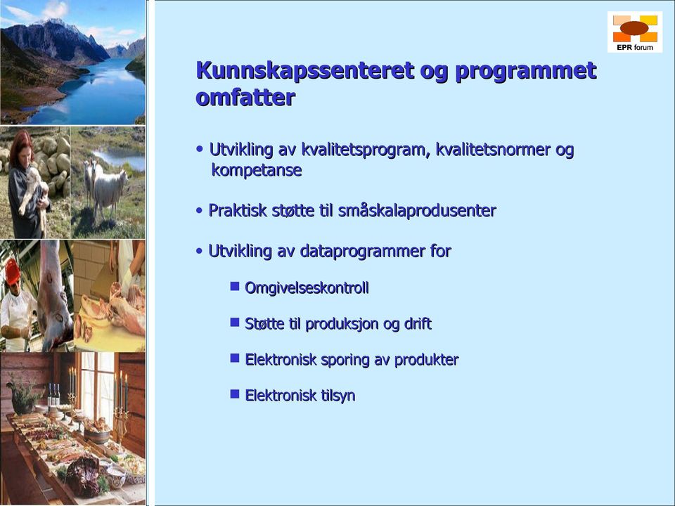 småskalaprodusenter Utvikling av dataprogrammer for