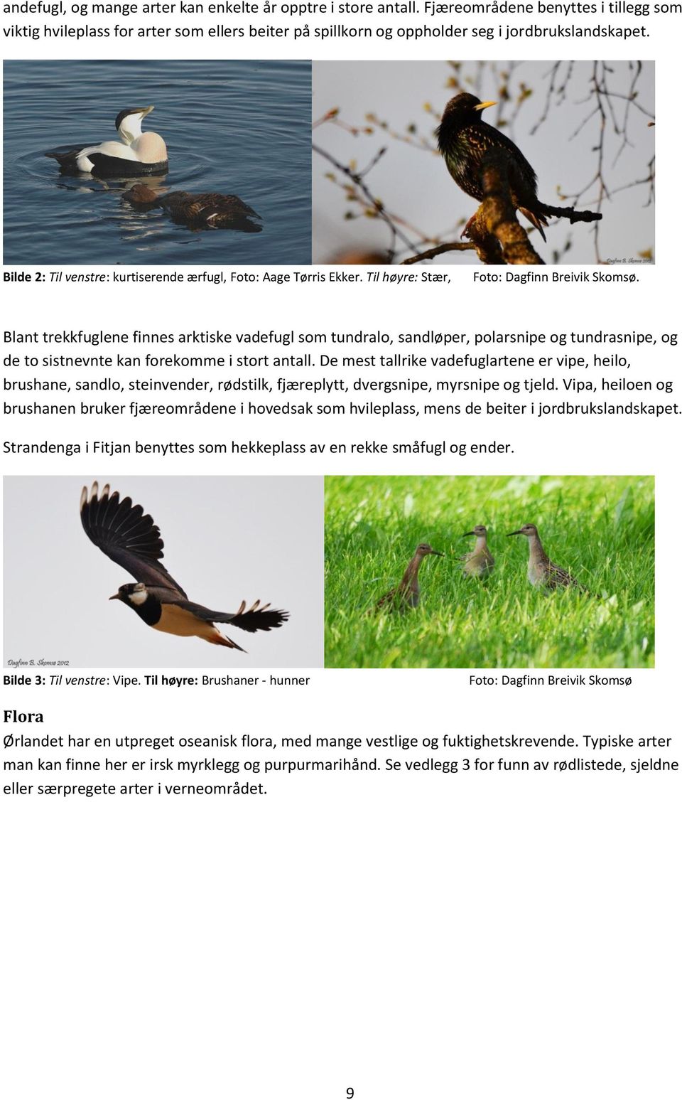 Blant trekkfuglene finnes arktiske vadefugl som tundralo, sandløper, polarsnipe og tundrasnipe, og de to sistnevnte kan forekomme i stort antall.