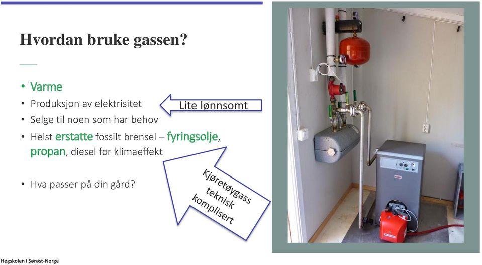 som har behov Lite lønnsomt Helst erstatte