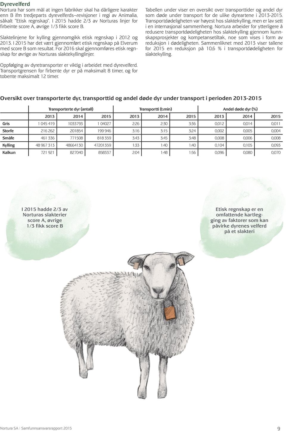 I 2015 har det vært gjennomført etisk regnskap på Elverum med score B som resultat. For 2016 skal gjennomføres etisk regnskap for øvrige av Norturas slaktekyllinglinjer.