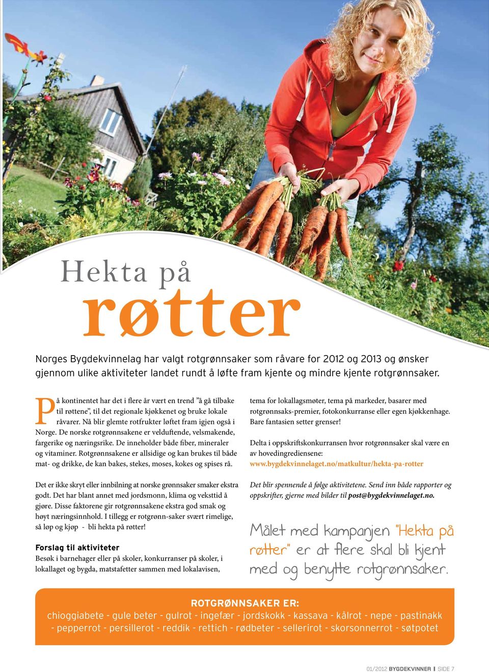 De norske rotgrønnsakene er velduftende, velsmakende, fargerike og næringsrike. De inneholder både fiber, mineraler og vitaminer.