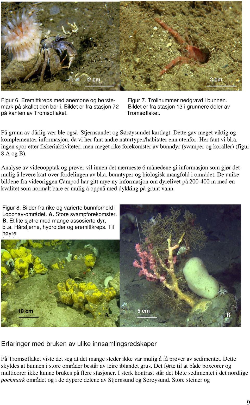 Dette gav meget viktig og komplementær informasjon, da vi her fant andre naturtyper/habitater enn utenfor. Her fant vi bl.a. ingen spor etter fiskeriaktiviteter, men meget rike forekomster av bunndyr (svamper og koraller) (figur 8 A og B).