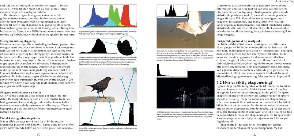 separat. Gråtonehistogrammet er med litt trening lett å tolke og kan brukes av de fleste, mens RGB-histogrammet krever noe mer trening og forbeholdes viderekomne og spesielt interesserte.