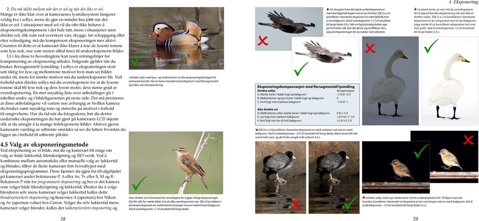 må du kompensere eksponeringen mer aktivt. Grunnen til dette er at kameraet ikke klarer å lese de lyseste tonene som lyse nok, noe som nesten alltid fører til undereksponerte bilder.