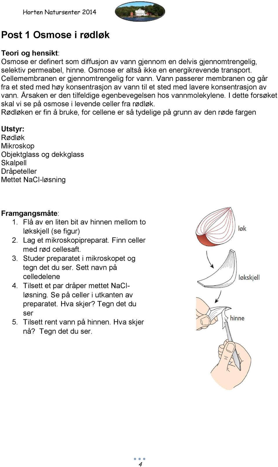 Årsaken er den tilfeldige egenbevegelsen hos vannmolekylene. I dette forsøket skal vi se på osmose i levende celler fra rødløk.